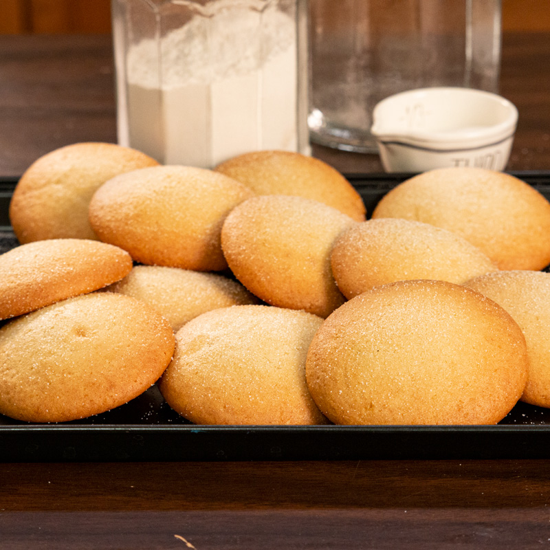 Sugar Cookies